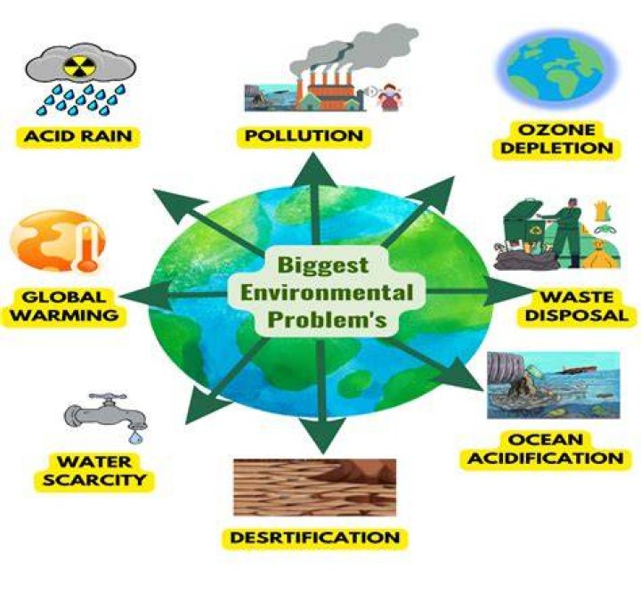 What are five major environmental problems?