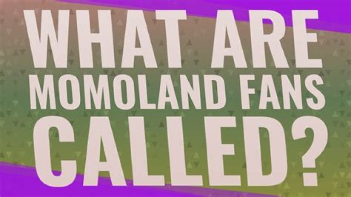 What are Momoland fans called?