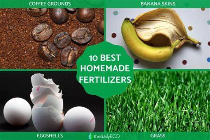 What are natural fertilizer for plants?