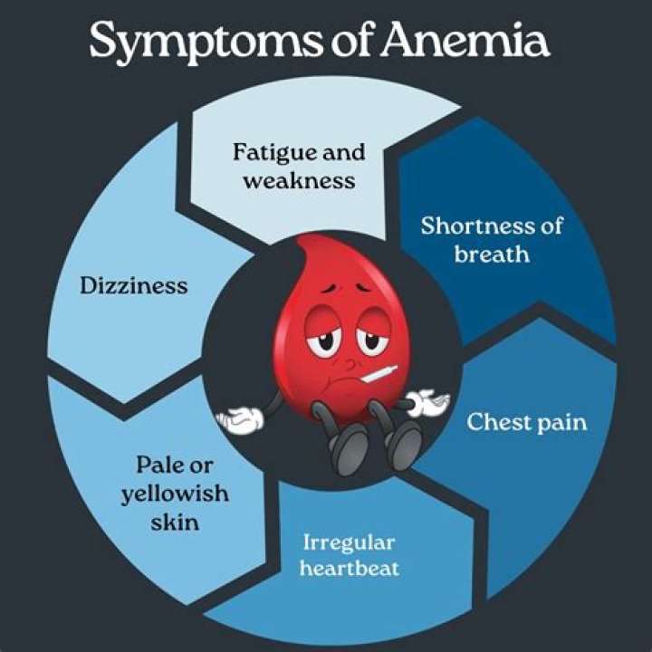 What are the 3 main causes of anemia?