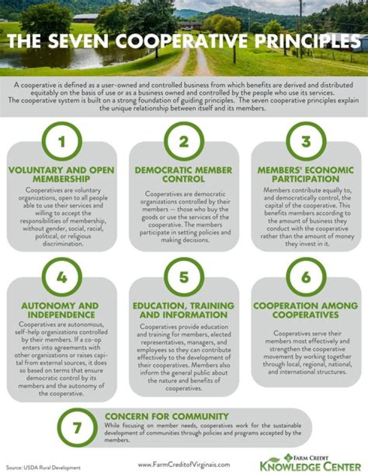 What are the 7 principles of Army?