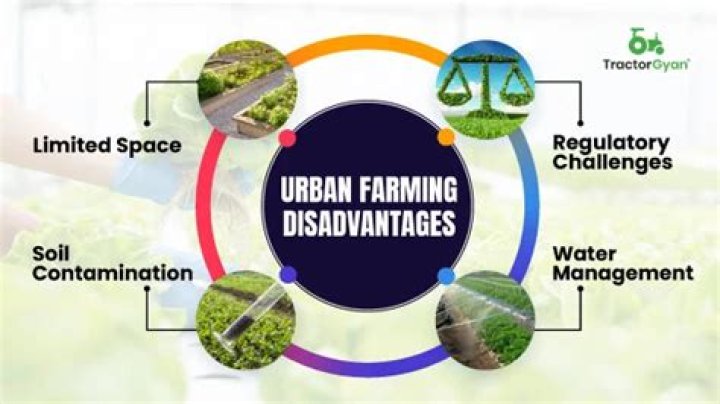 What are the advantages and disadvantages of urban farming?