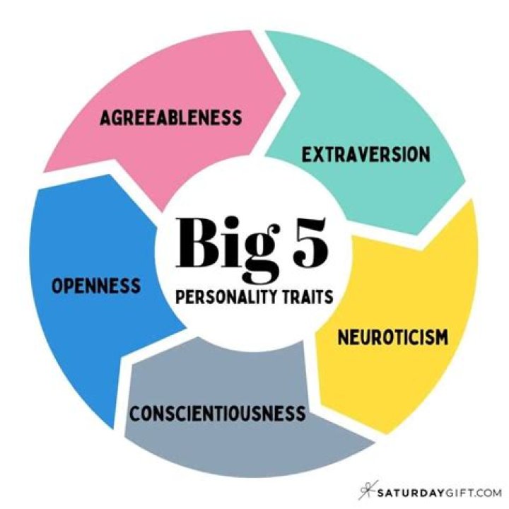 What are the big five traits?