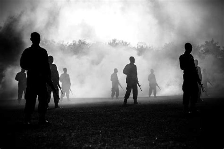 What are the effects of war on society?
