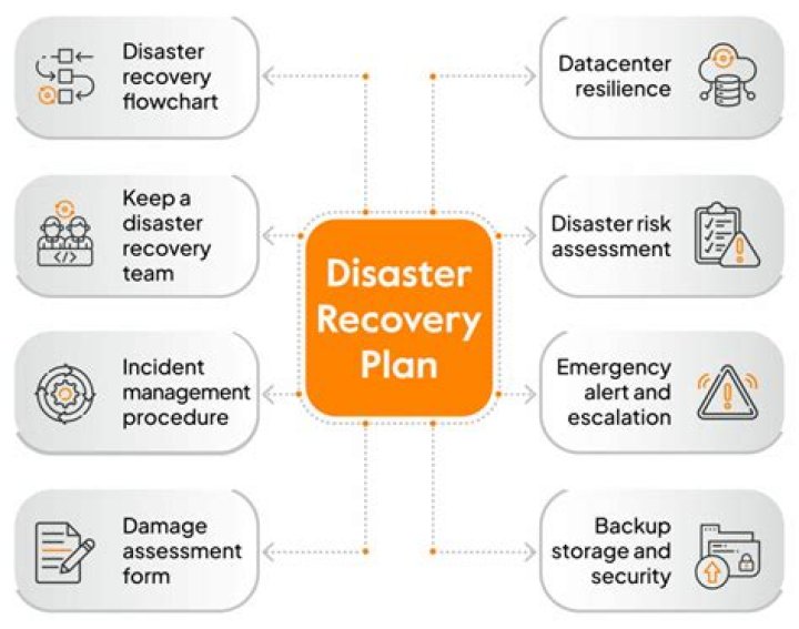 What are the goals of disaster response and recovery?