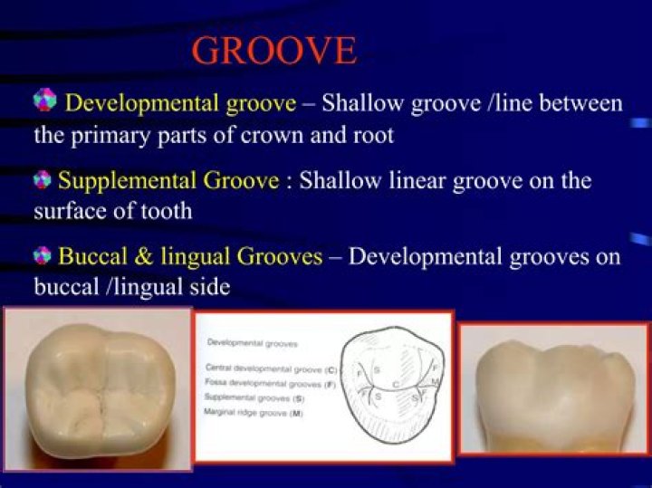 What are the grooves in the side of the road called?