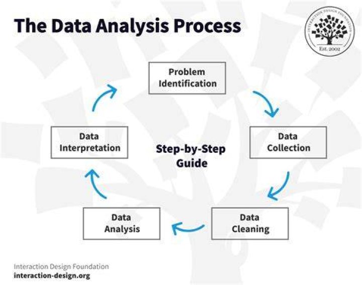 What are the important stages in data analysis?