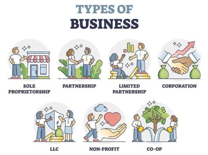 What are the main types of business organizations?