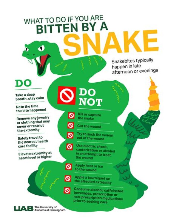 What are the odds of getting bitten by a snake?