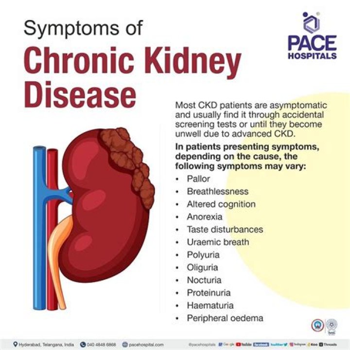 What are the symptoms of a cat dying of kidney failure?