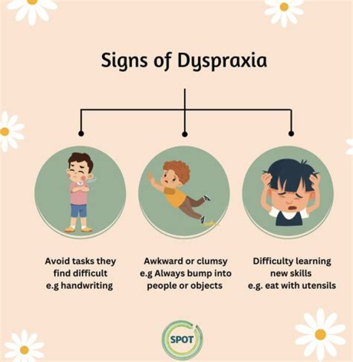 What are the three components of dyspraxia?