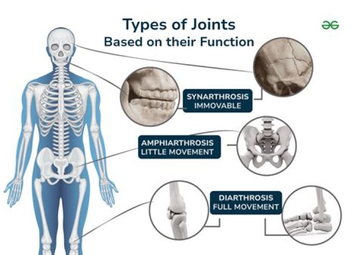 What are the three general types of focus points?