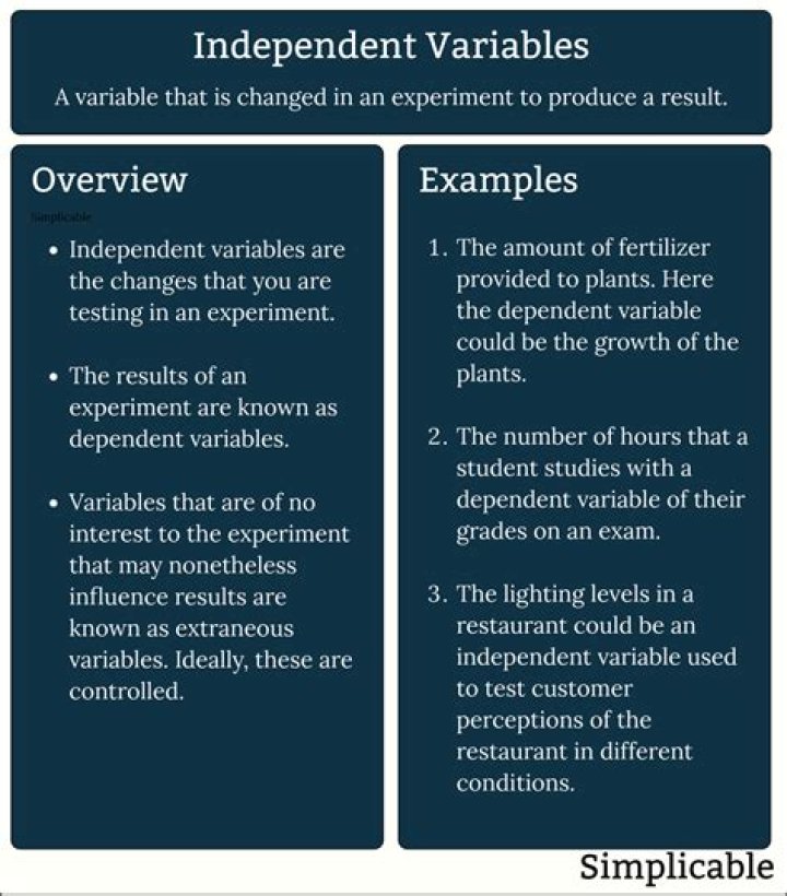 What are the types of independent variables?