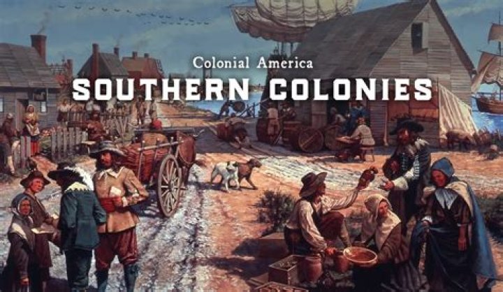 What are they digging in the colonies?