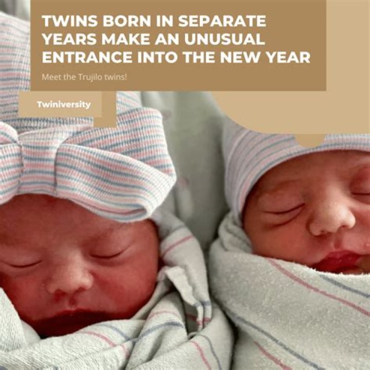 What are twins born on different days called?