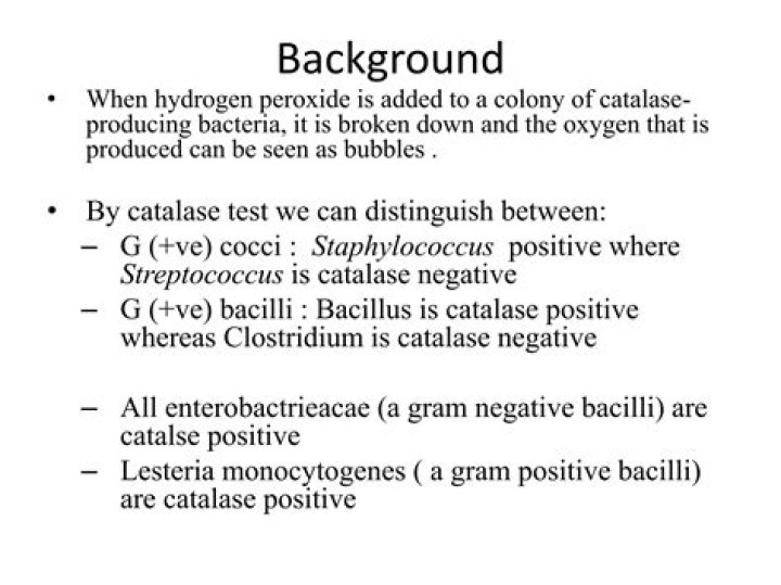 What bacteria is negative catalase?