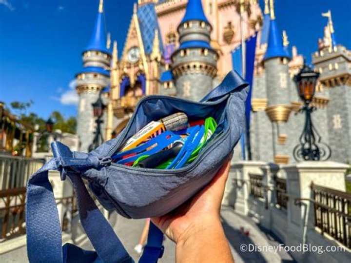 What can't you bring to Disney World?