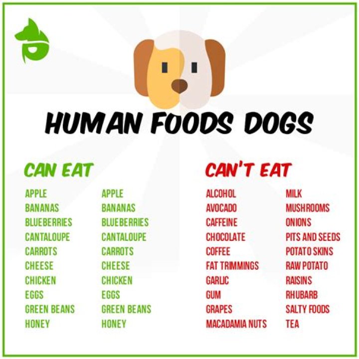 What can humans not eat?