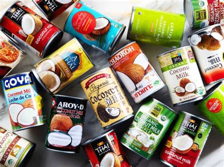 What can I use instead of canned coconut milk?