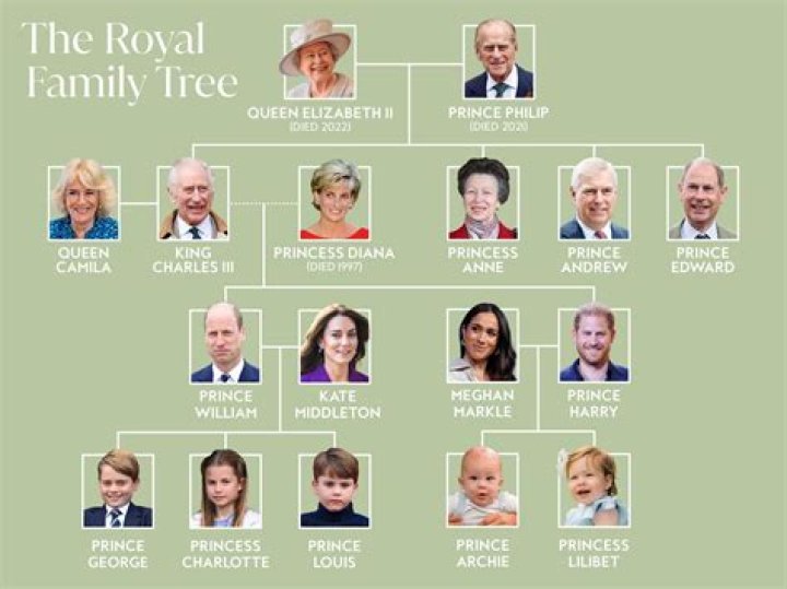 What can the royal family not do?