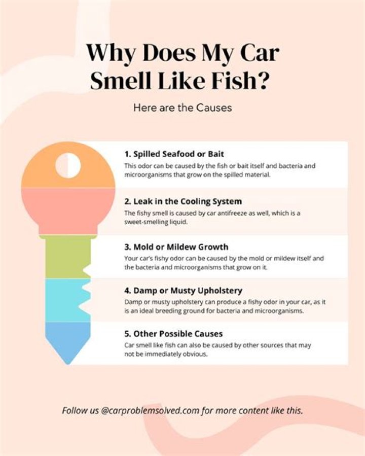 What causes fishy smell in bedroom?