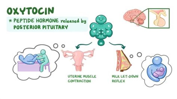 What causes lack of oxytocin?
