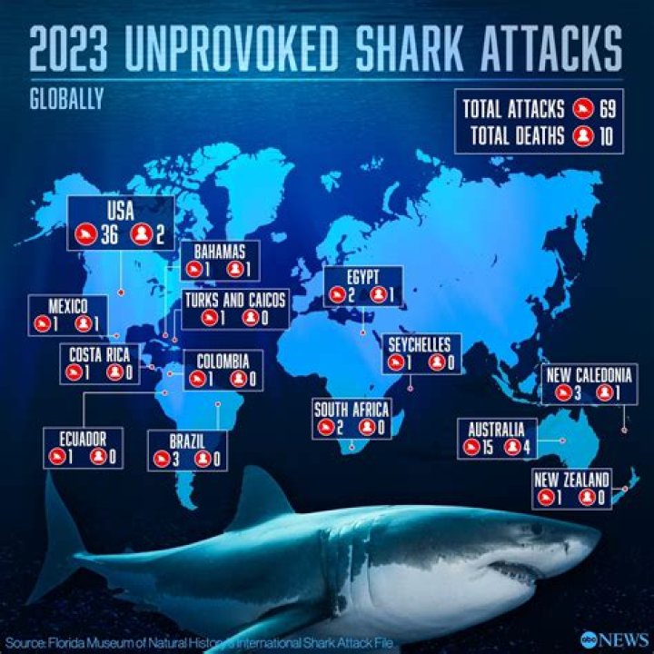 What city in Florida has the most shark attacks?