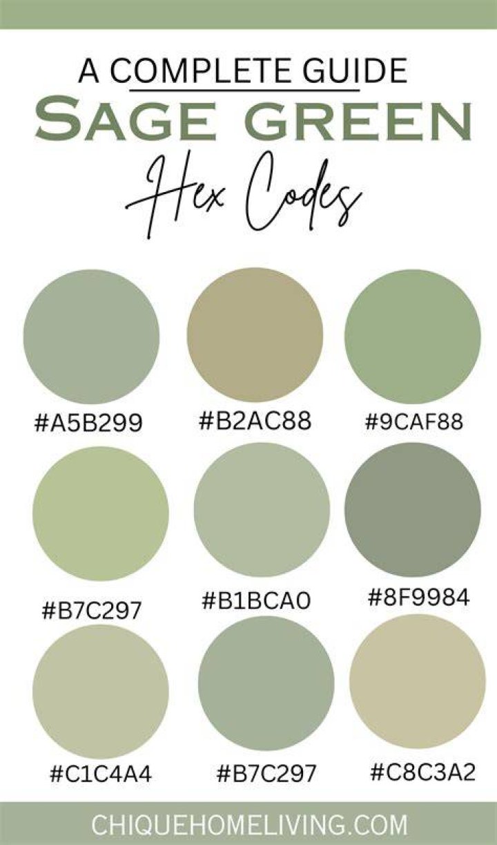 What color is sage?