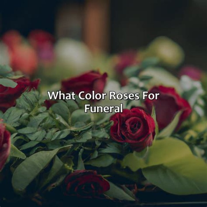 What color rose for a funeral?