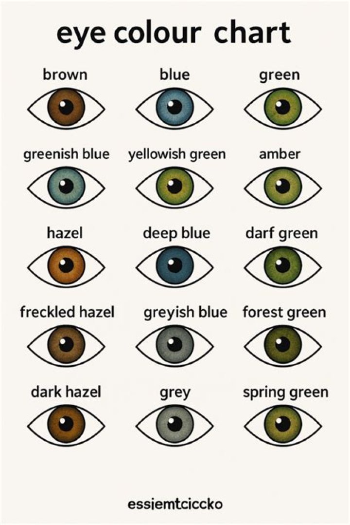 What colors do eyes see?