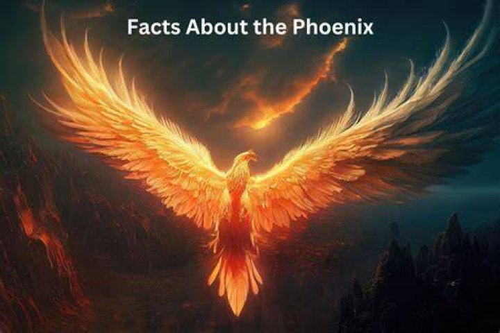 What Colour is a phoenix?