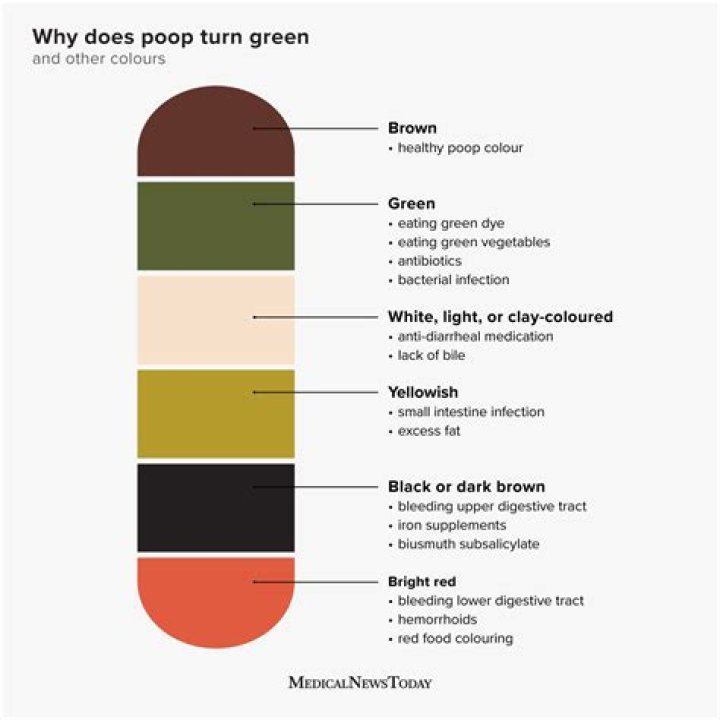 What Colour is IBS poop?
