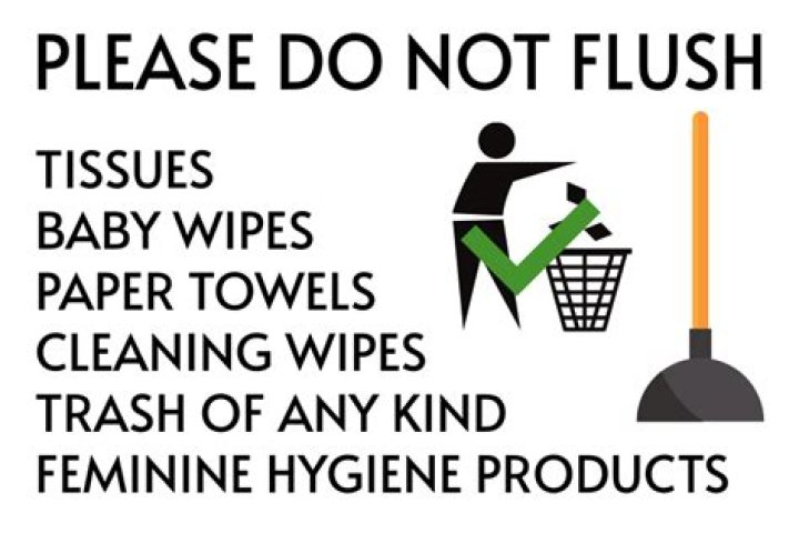 What culture does not flush toilet paper?