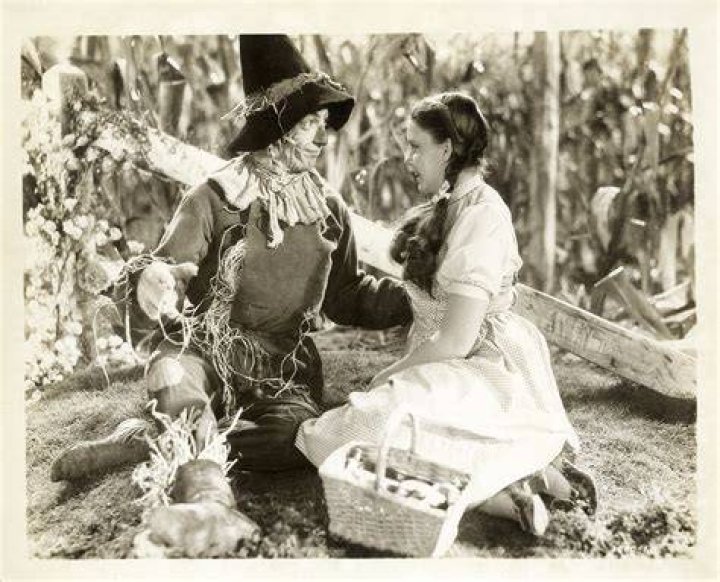 What did the Scarecrow and Dorothy to eat?