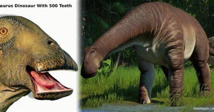 What dinosaur has 99999 teeth?