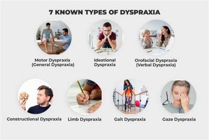 What disability category is dyspraxia?