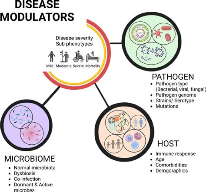 What diseases are caused by biofilm?