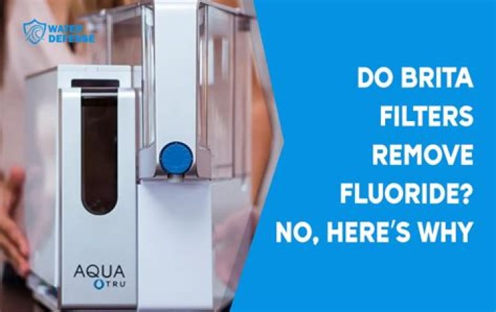 What do Brita filters remove?