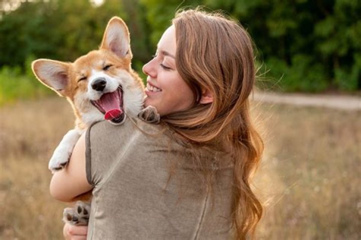 What do dogs think we are?