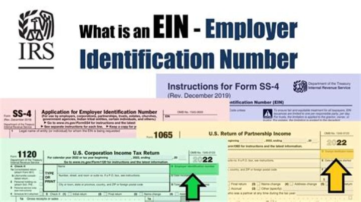 What do EIN numbers look like?