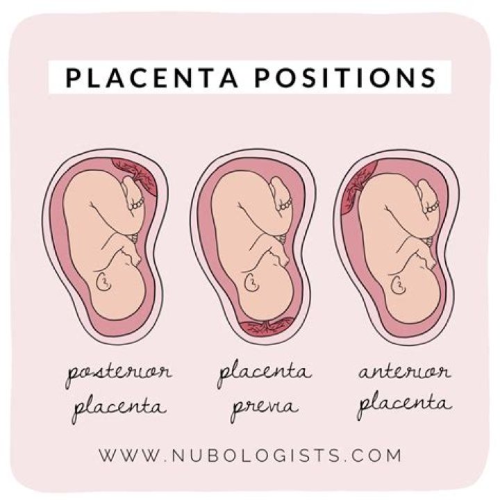 What do hospitals do with placentas?