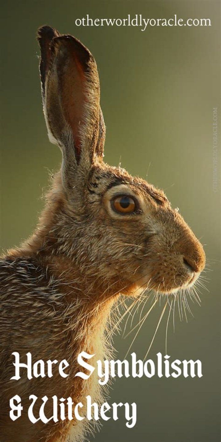 What do rabbits symbolize in the Bible?