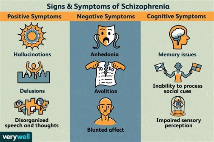 What do schizophrenics do all day?