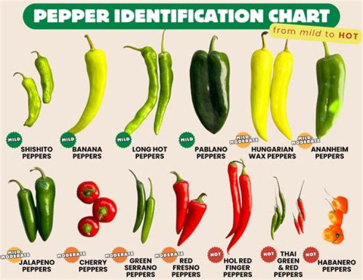 What do small peppers taste like?