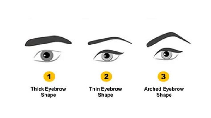 What do thick eyebrows mean?