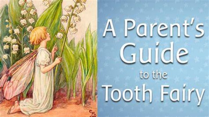 What do Tooth Fairy do with teeth?