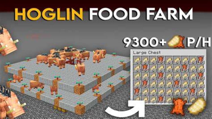 What do you feed Hoglins in Minecraft?