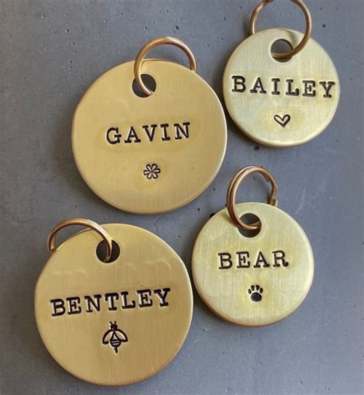 What do you legally have to have on a dog tag?