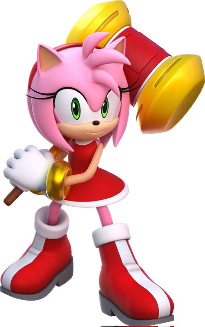 What does Amy's hammer look like?
