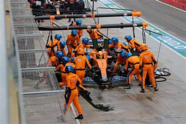 What does an F1 steward do?